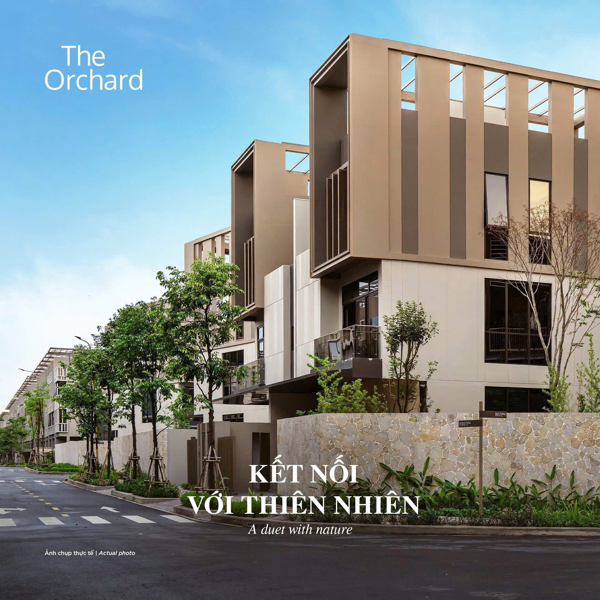 Hình ảnh thực tế The Orchard