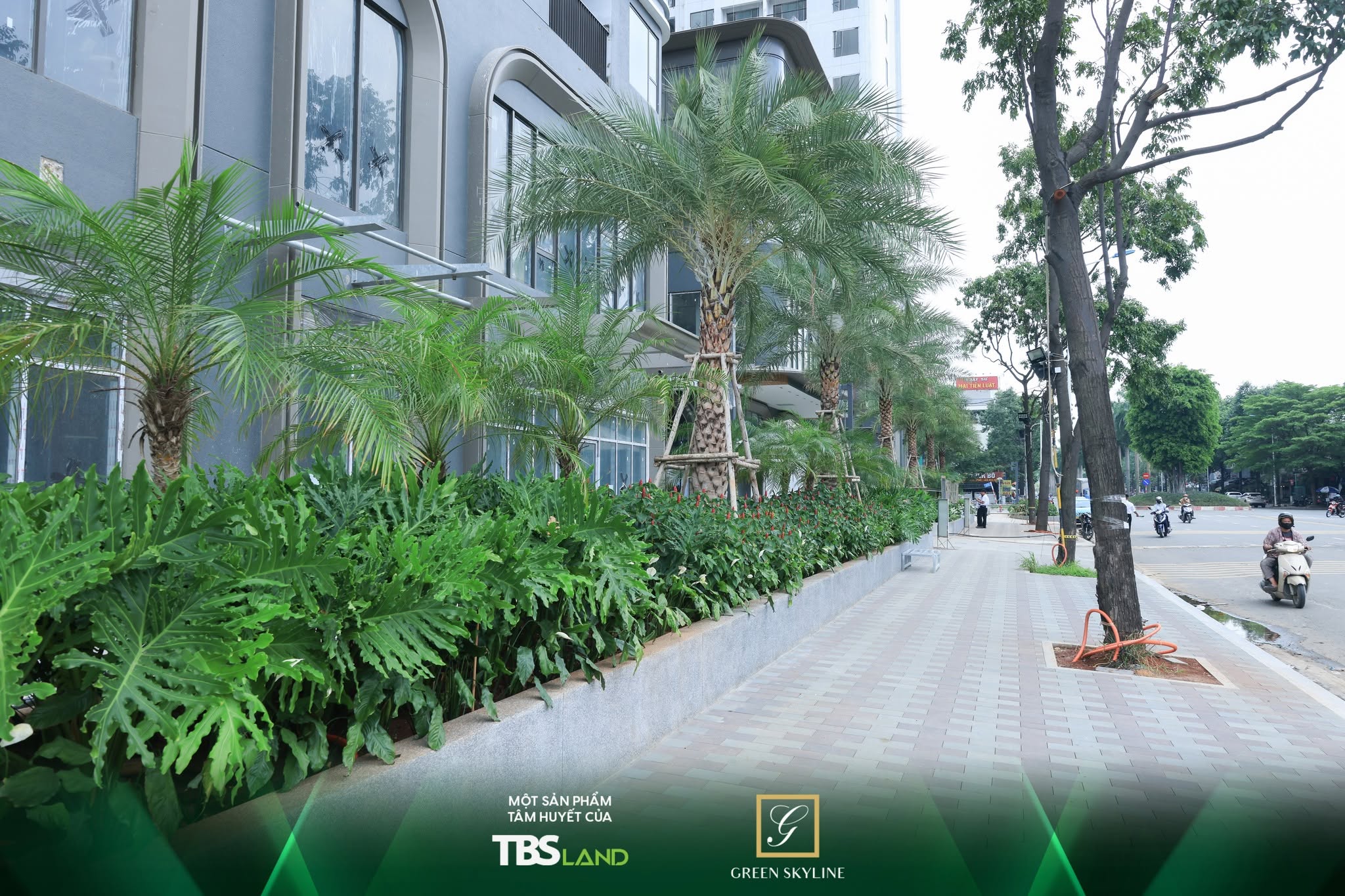 Cây xanh bên ngoài dự án GReen Skyline đã hoàn thiện
