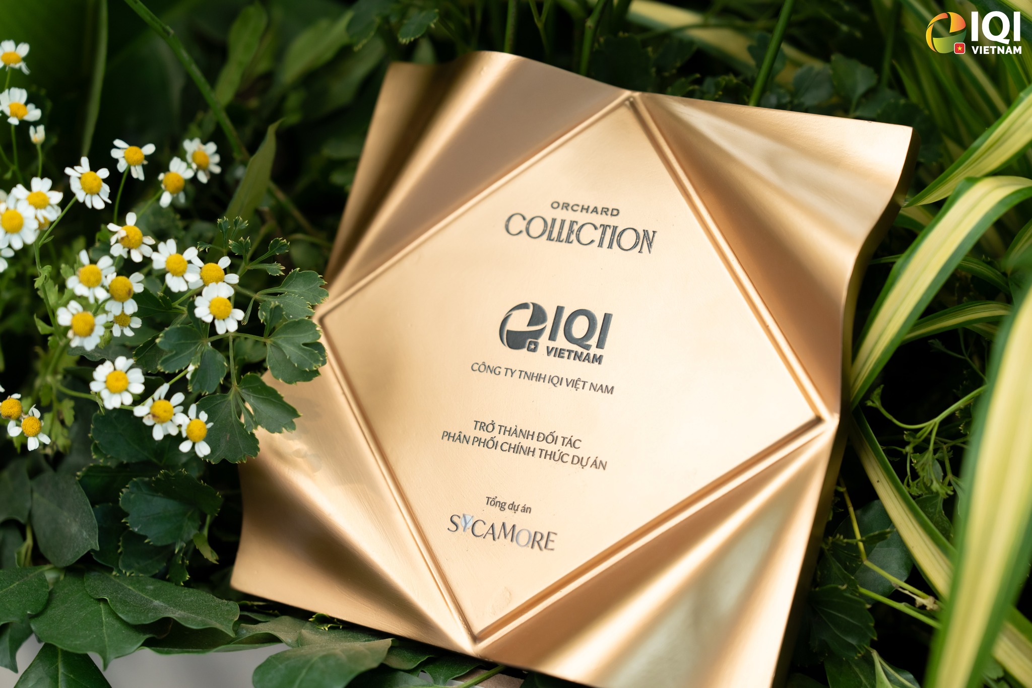 Chứng nhận đối tác phân phối dự án Orchard Collection của IQI Việt Nam