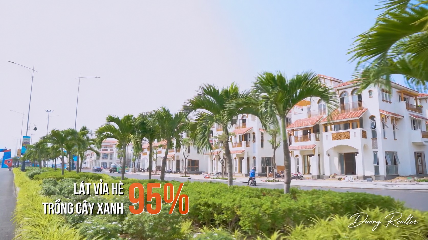 Lat-via-he-trong-cay-xanh-dat-95%